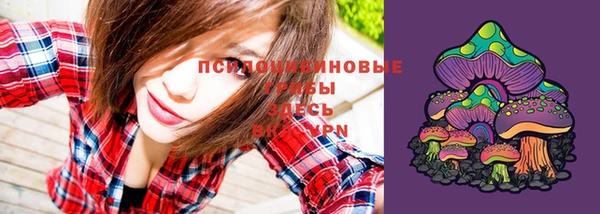 кристаллы Покров