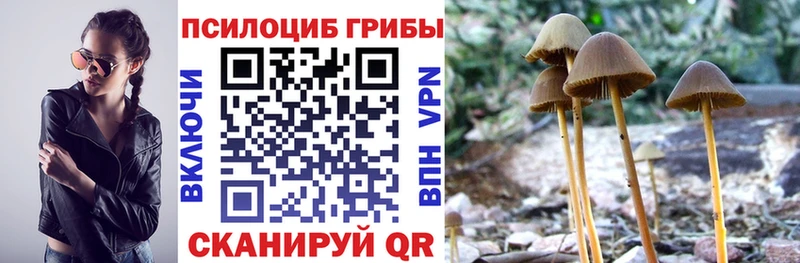 Галлюциногенные грибы прущие грибы  продажа наркотиков  Алатырь 