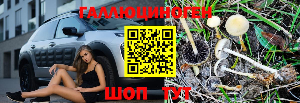 Псилоцибиновые грибы прущие грибы Алатырь