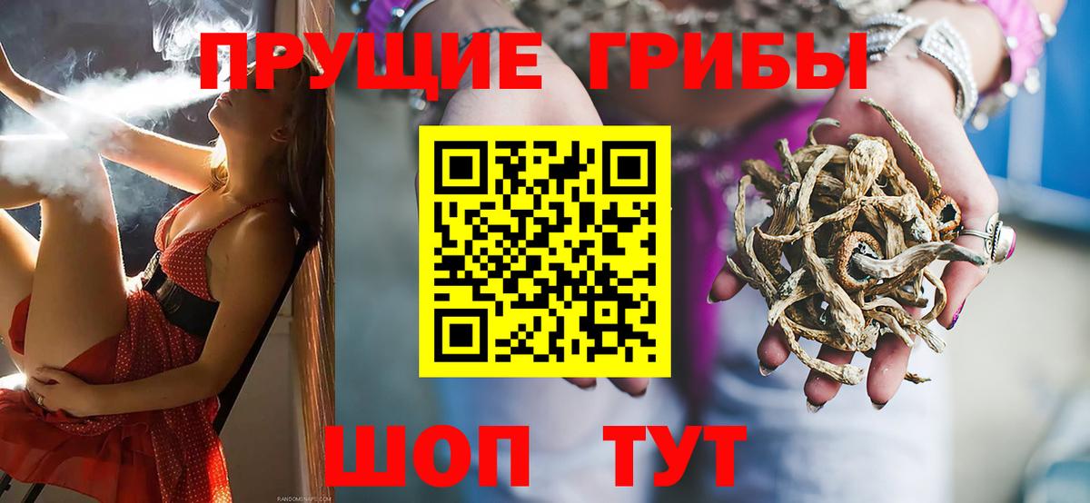 Галлюциногенные грибы мицелий  Алатырь 