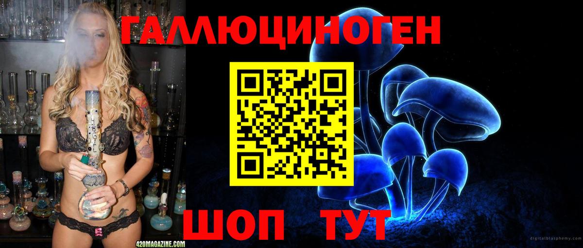 Псилоцибиновые грибы Psilocybine cubensis  Вход с VPN  Галлюциногенные грибы прущие грибы  Алатырь 