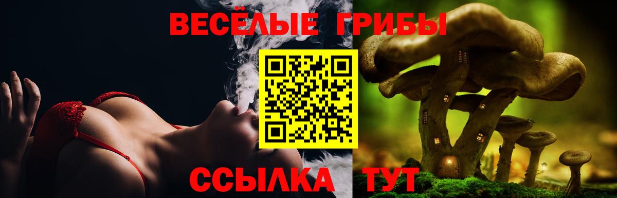 Галлюциногенные грибы MAGIC MUSHROOMS  Вход с VPN  Алатырь 