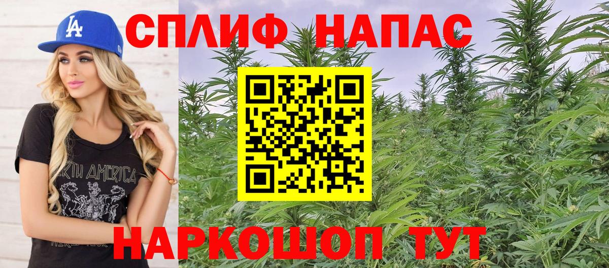 Бошки Шишки планчик  Вход с VPN  Алатырь  Шишки марихуана SATIVA & INDICA  Каннабис Ganja 